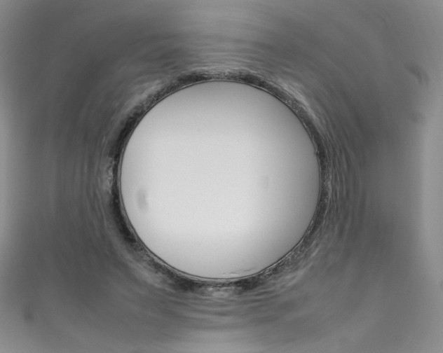 X0000111490495200907141106