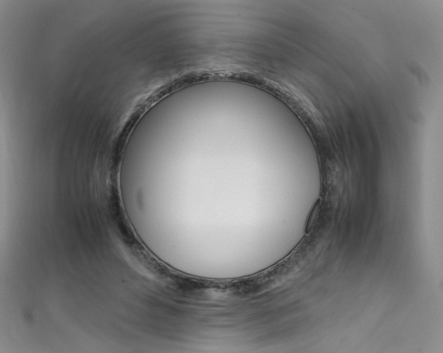 X0000111490496200907141106