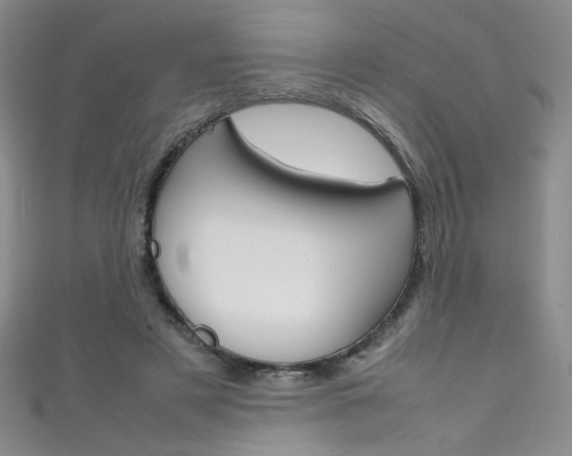 X0000111490497200907141106