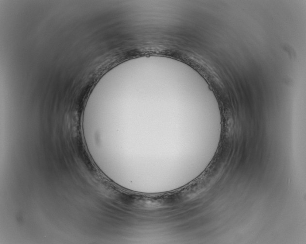 X0000111490498200907141106