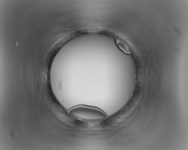 X0000111490501200907141106