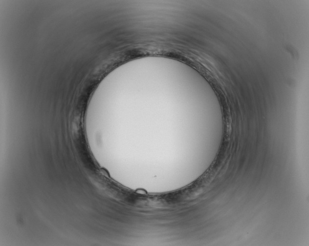 X0000111490503200907141106