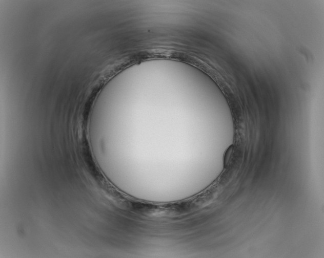 X0000111490504200907141106
