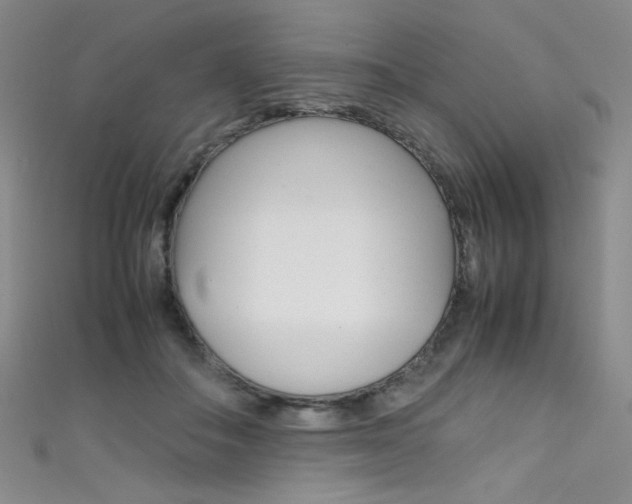 X0000111490506200907141106