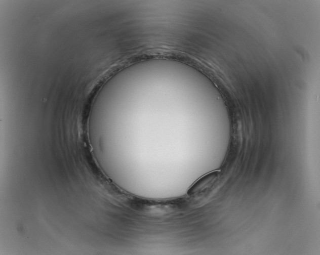 X0000111490508200907141106