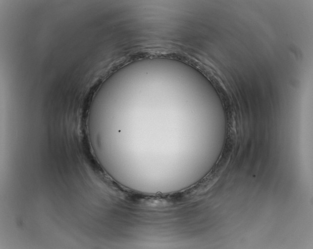 X0000111490512200907141106