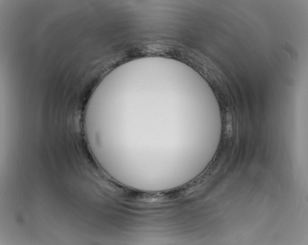 X0000111490514200907141106