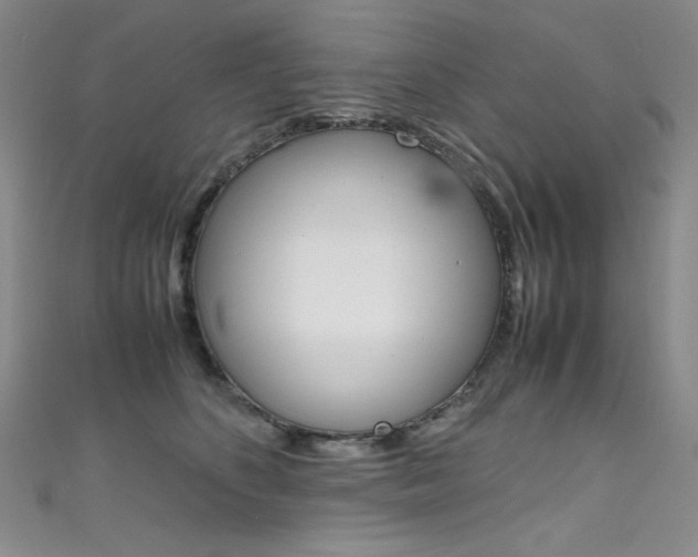 X0000111490516200907141106