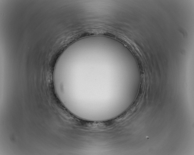 X0000111490517200907141106