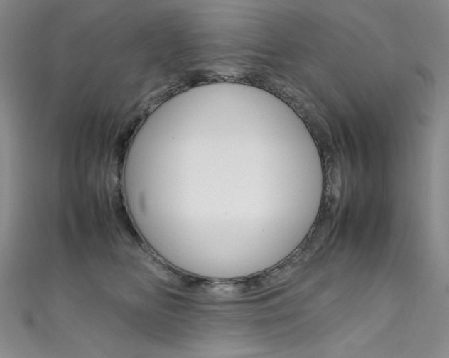 X0000111490518200907141106