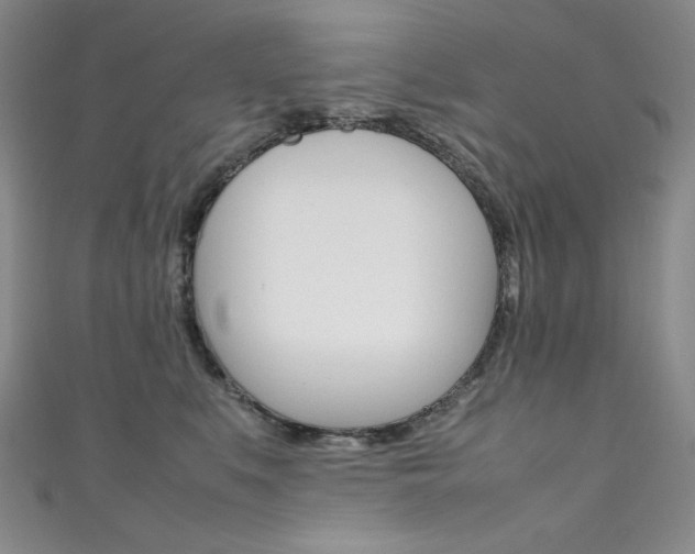 X0000111490519200907141106
