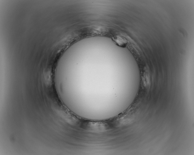 X0000111490520200907141106