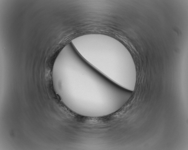 X0000111490521200907141106