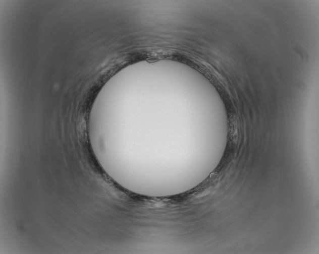X0000111490523200907141106