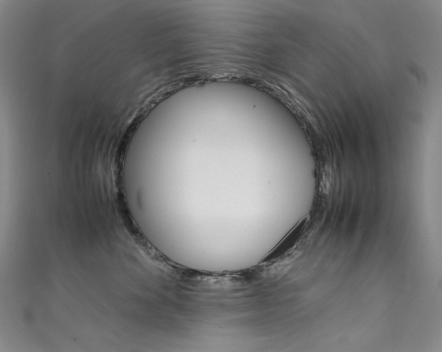 X0000111490524200907141106
