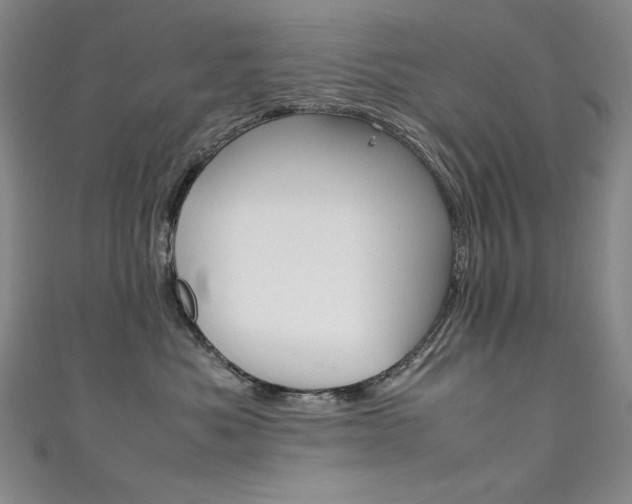 X0000111490525200907141106
