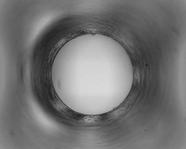 X0000111490526200907141106