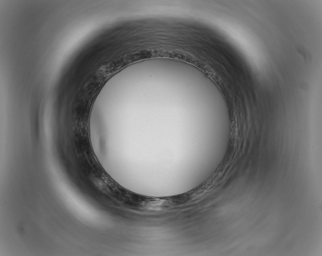X0000111490527200907141106