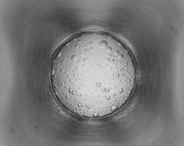 X0000111490529200907141105