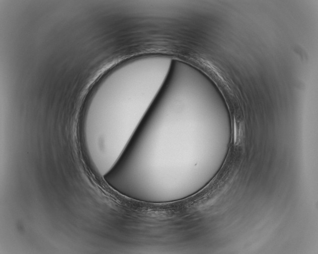 X0000111490531200907141105