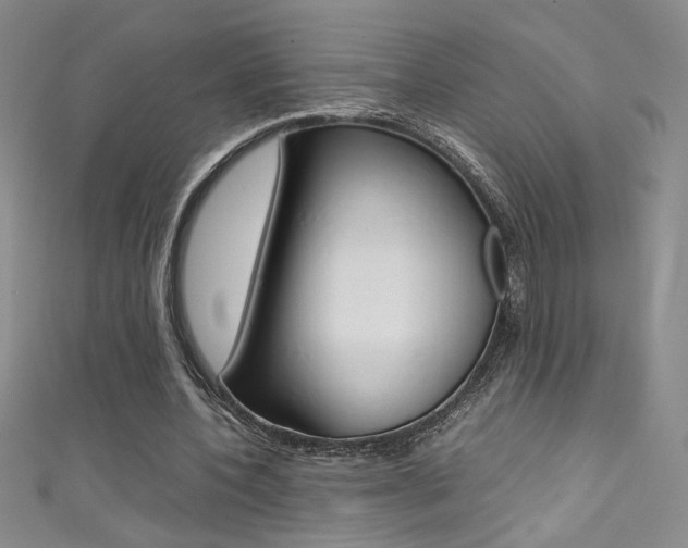 X0000111490532200907141105