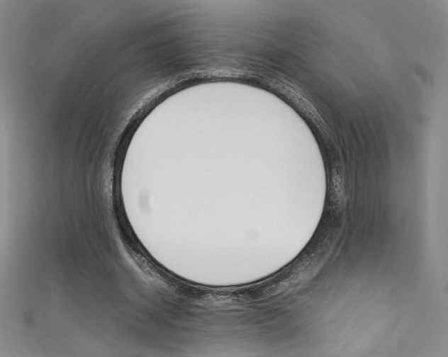 X0000111490534200907141105