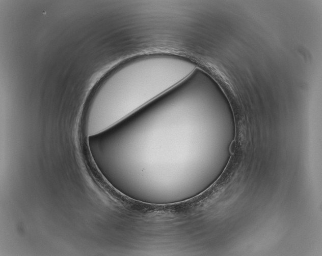 X0000111490536200907141105