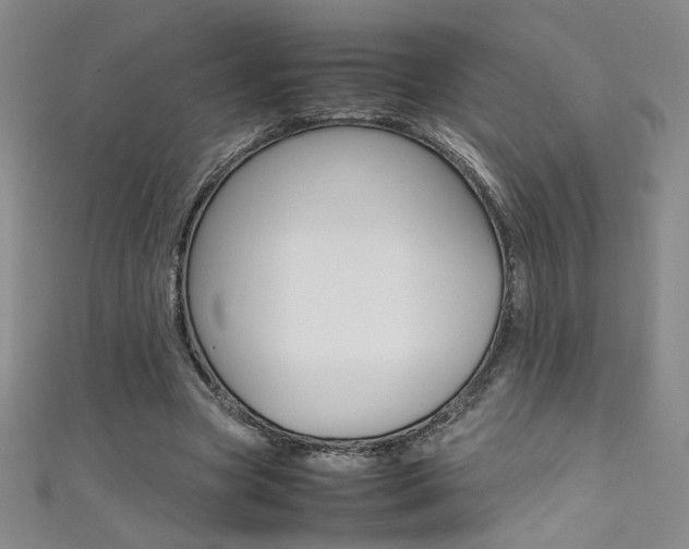 X0000111490537200907141105
