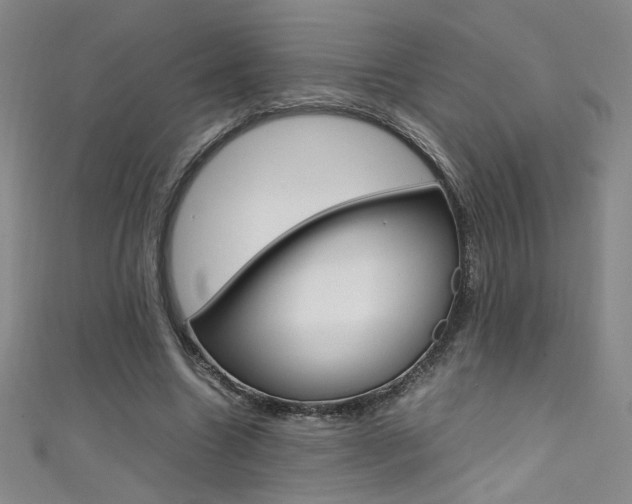 X0000111490538200907141105