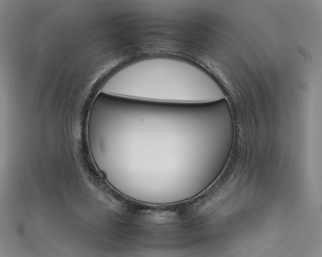 X0000111490539200907141105