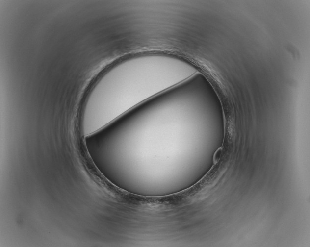 X0000111490540200907141105