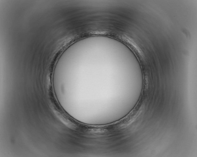 X0000111490541200907141105