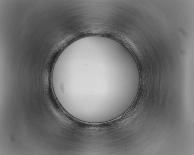 X0000111490542200907141105