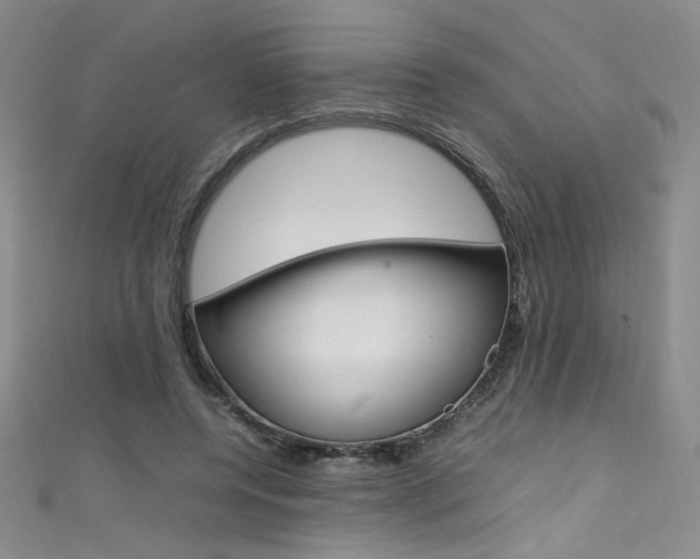X0000111490544200907141105