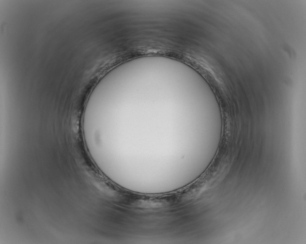 X0000111490545200907141105