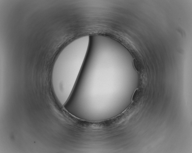 X0000111490546200907141106