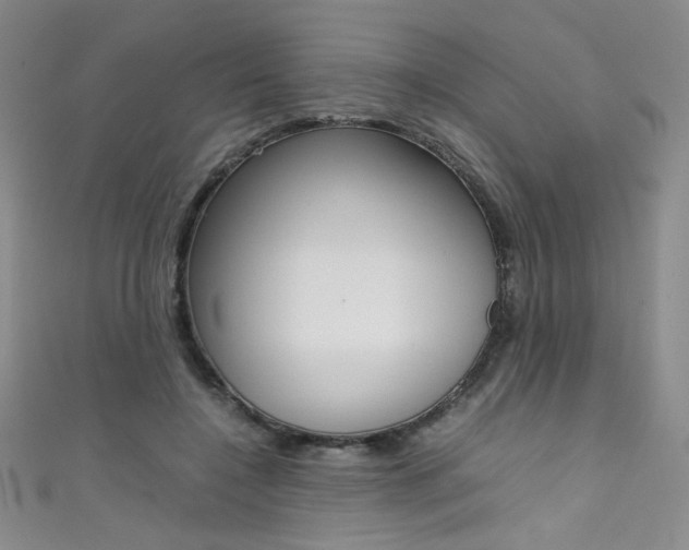 X0000111490548200907141106