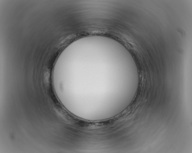 X0000111490550200907141106