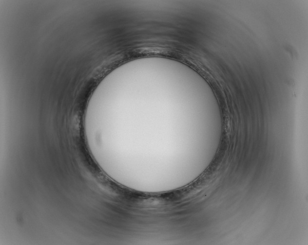 X0000111490551200907141106