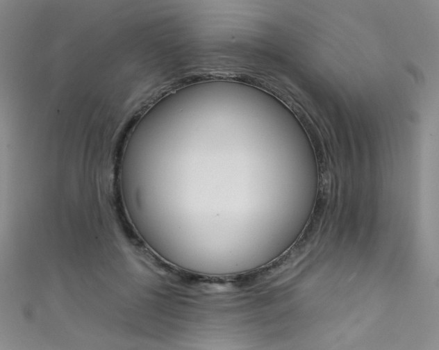 X0000111490552200907141106