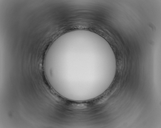 X0000111490553200907141106