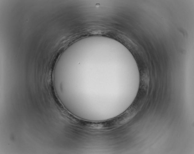 X0000111490554200907141106