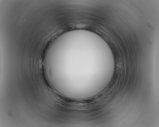 X0000111490555200907141106
