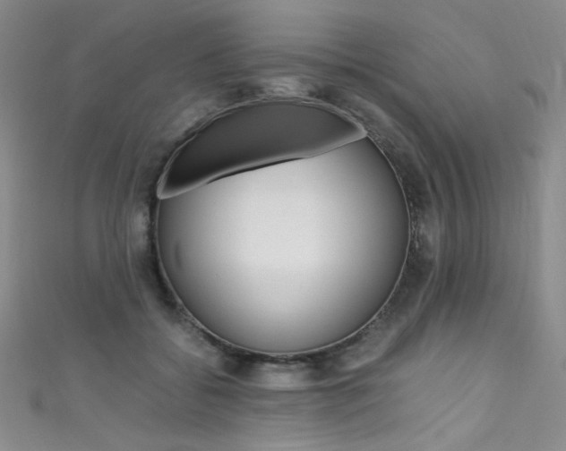 X0000111490556200907141106