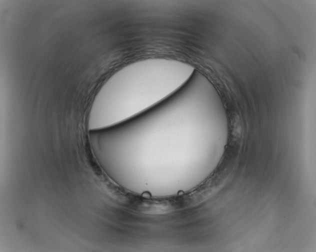 X0000111490559200907141106