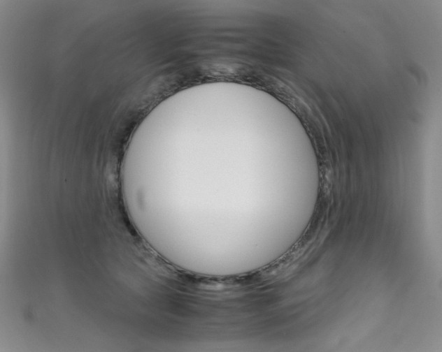 X0000111490561200907141106