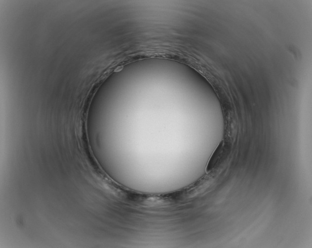 X0000111490562200907141106
