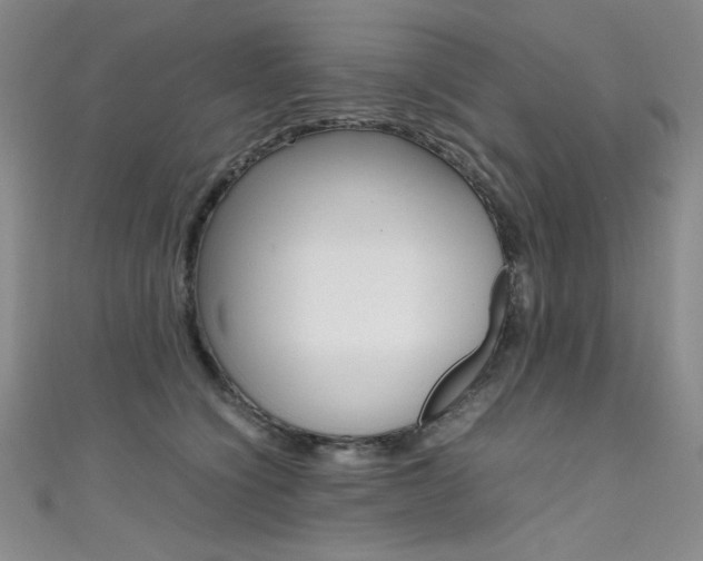 X0000111490564200907141106