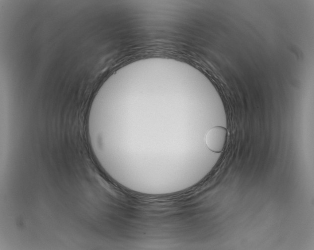 X0000111490568200907141106