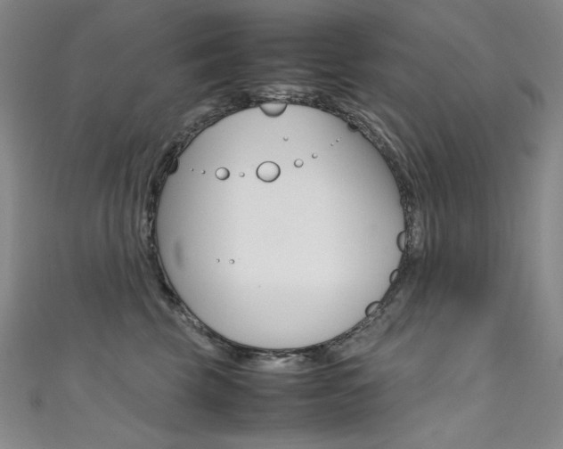 X0000111490569200907141106